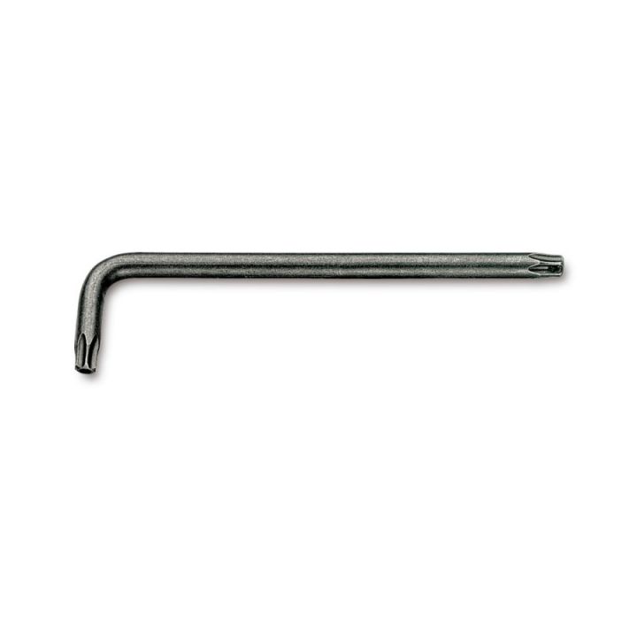 CHAVE TORX FURADA       20             97 RTX